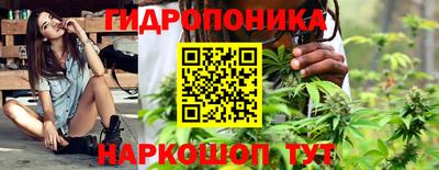 PSILOCYBIN Малоярославец