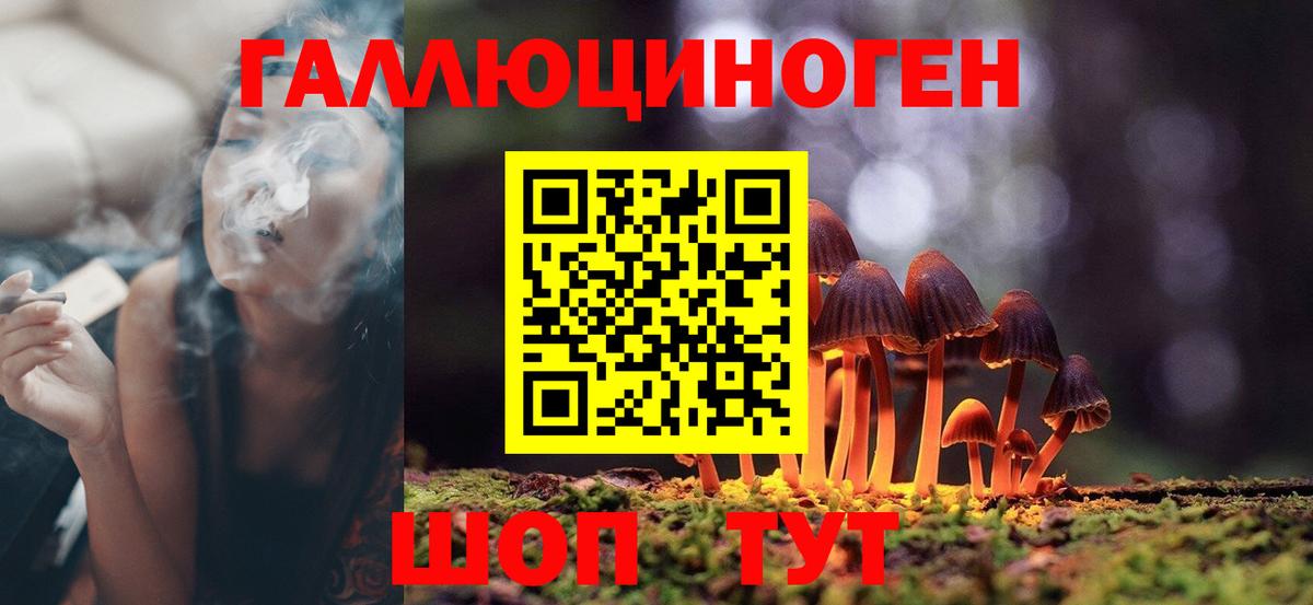 Псилоцибиновые грибы Psilocybe  Вход с VPN  Кинешма 
